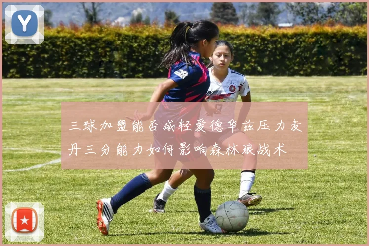 三球加盟能否减轻爱德华兹压力麦丹三分能力如何影响森林狼战术