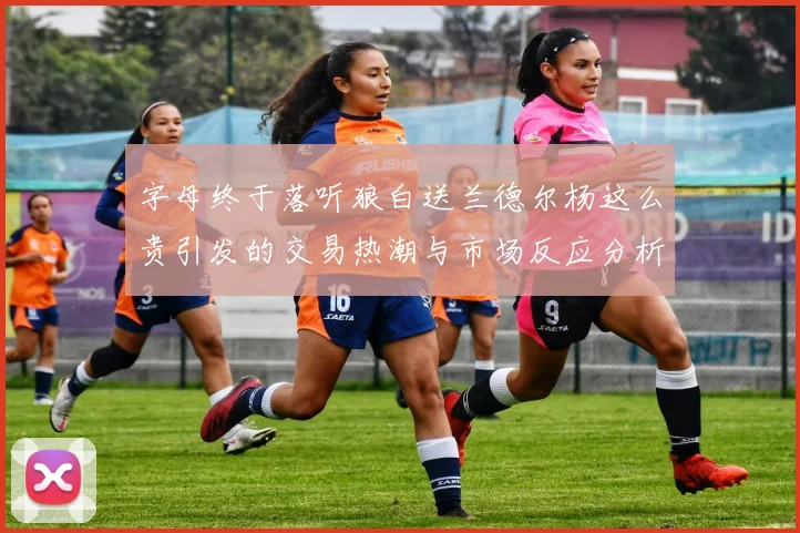 字母终于落听狼白送兰德尔杨这么贵引发的交易热潮与市场反应分析