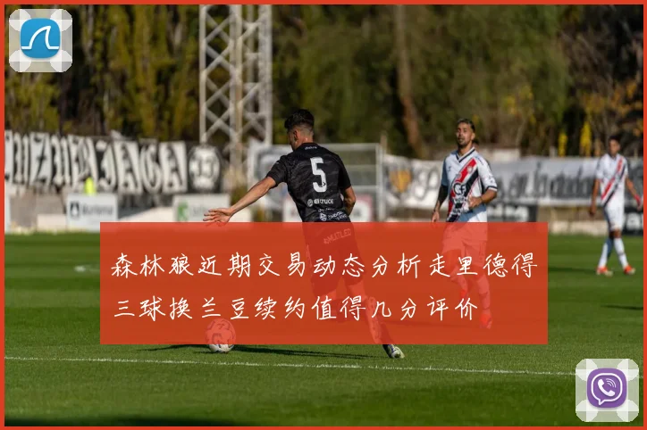 森林狼近期交易动态分析走里德得三球换兰豆续约值得几分评价