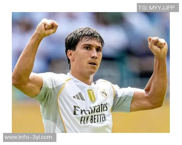 利兹联计划1月租借贡萨洛加西亚哈维阿隆索坚决拒绝放人 利兹联计划1月租借贡萨洛加西亚哈维阿隆索坚决拒绝放人